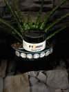FitQueen’s Sweat Gel