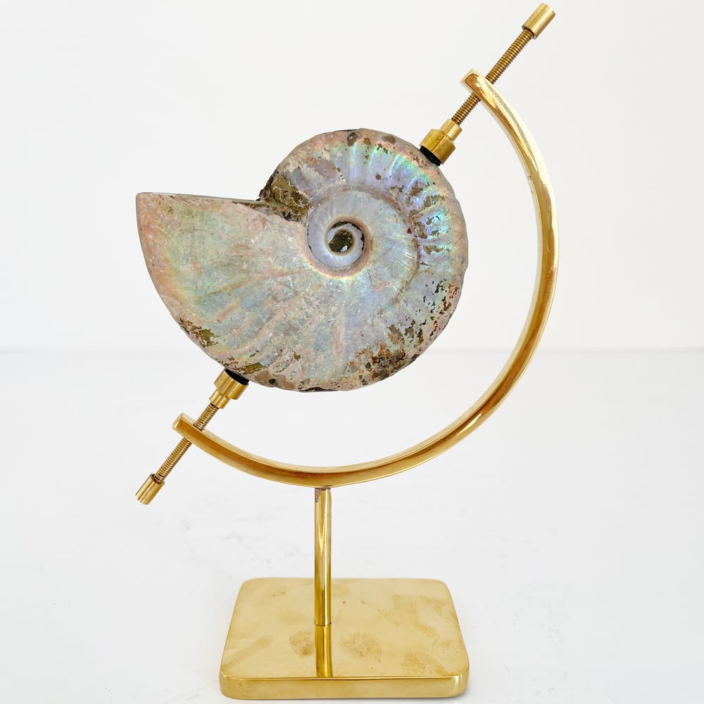 Image of Iridescent Rainbow Ammonite No.69 + Brass Arc Stand