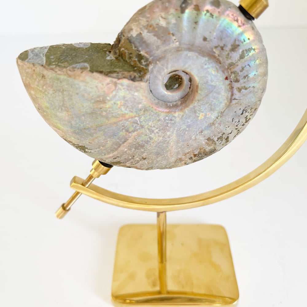 Image of Iridescent Rainbow Ammonite No.69 + Brass Arc Stand