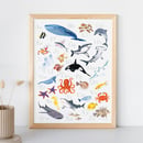 Image 1 of Ocean Alphabet Print