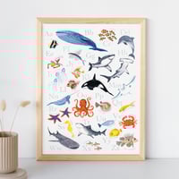 Image 1 of Ocean Alphabet Print