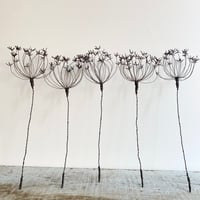 Image 1 of Cow parsley wire sculpture