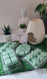 Image 1 of Coconut Island Wax Melt Clamshell