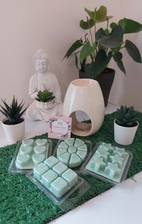 Image 2 of Coconut Island Wax Melt Clamshell