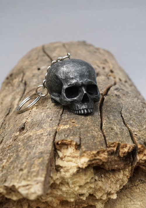 Image of Half Skull