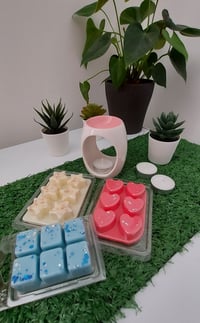 Image 1 of Soothe n Glow Wax Melt Starter Kit