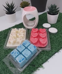 Image 3 of Soothe n Glow Wax Melt Starter Kit