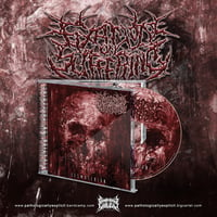 Image 2 of FIXATION ON SUFFERING-DESMOTERION CD+LONGSLEEVE
