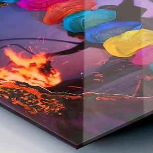 Image of Blooming From the Ashes