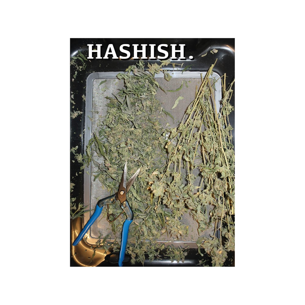 Image of HASHISH.