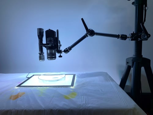 Image of Pro 'Magic Arm' - Articulating Arm + Camera Bracket + Super Clamp