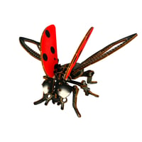 Image 2 of JCR ARTHROPODA : LADYBUG