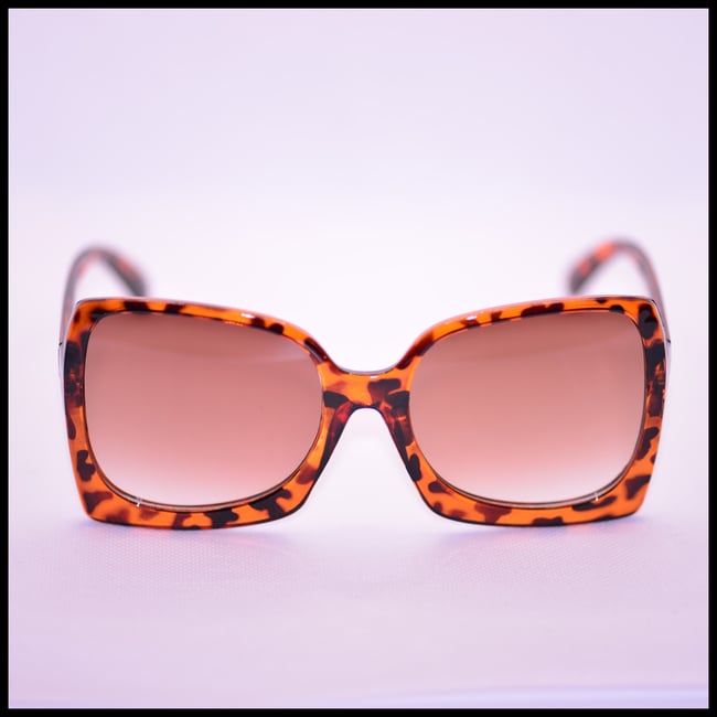 Cinderella's Terrapin