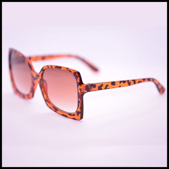 Cinderella's Terrapin