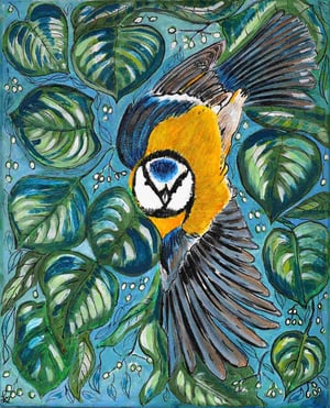 Blue Tit In Lindentree, Fine Art Print, Echt-Büttenpapier