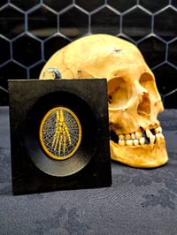 Image 2 of ANTIQUE ANATOMICAL COLLECTION - Preserved web- HAND