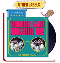 Various - WHERE THE ACTION IS! (Los Angeles Nuggets) 2LP