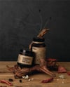 Bergamot Citrus & Musk