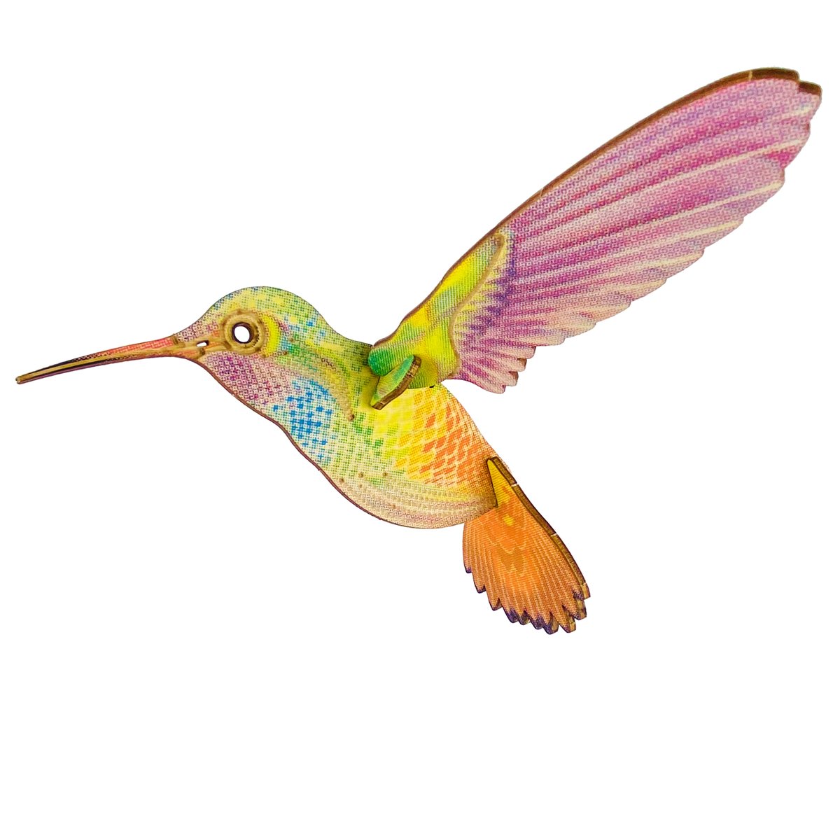 JCR BIRDS : RUFOUS-TAILED HUMMINGBIRD | JCR WORKSHOP