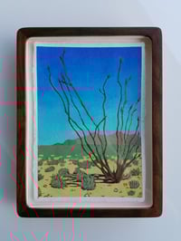 Ocotillo