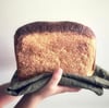 Softie Sourdough