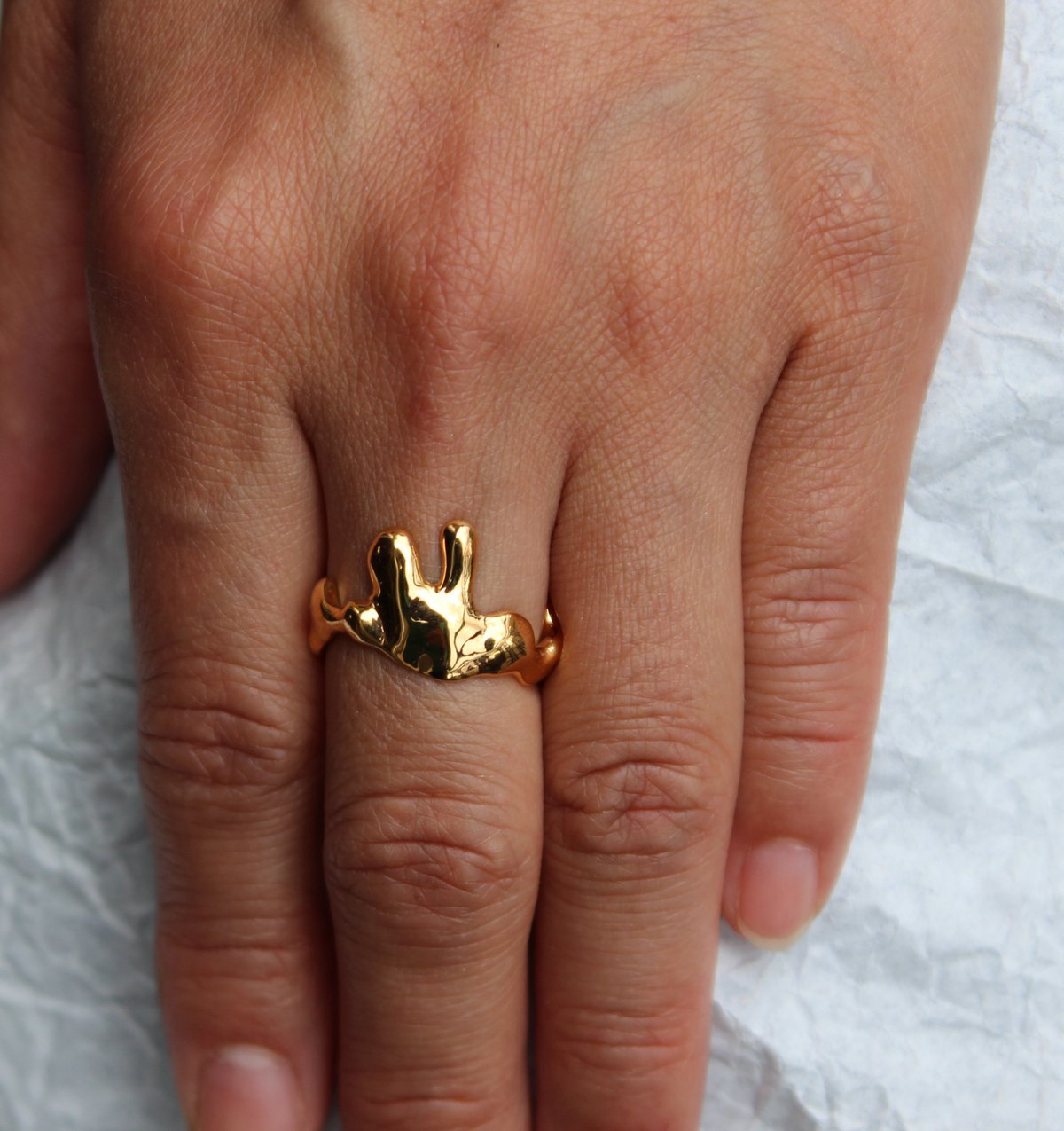 Image of splash ring