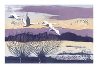 Winter Swans - pack of 5 Christmas Cards