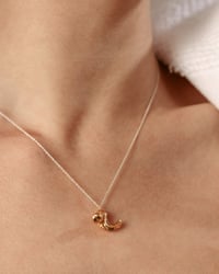 Image 2 of frailea necklace