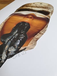 Image 2 of 'Hold your Tongue'