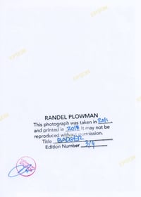 Image 2 of Surface: Badger