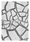 Surface: Land Wall 