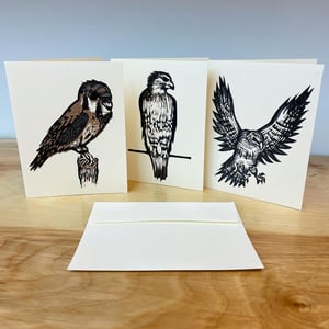 Image of BIRDS OF PREY greeting card set 