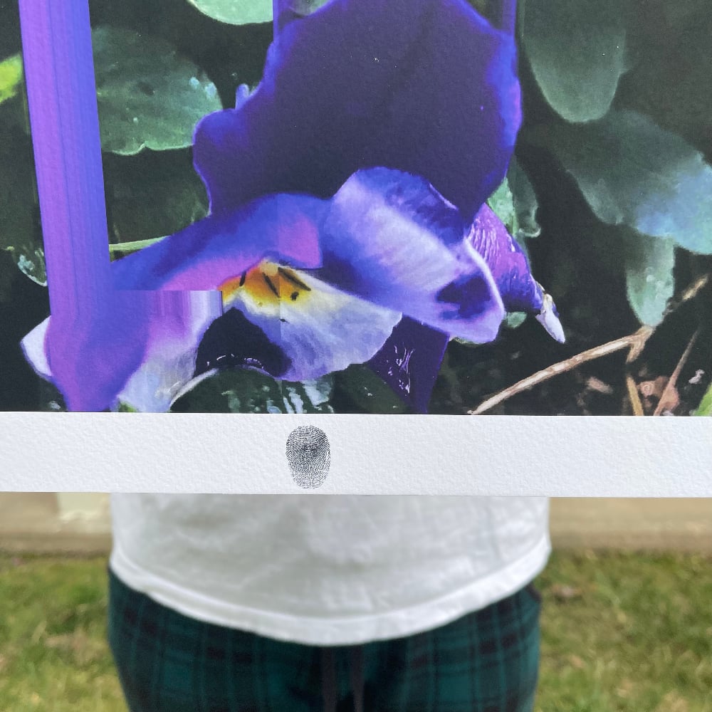 Image of Flowers Against Humanity 007 Limited Edition Giclée Fine Art Print