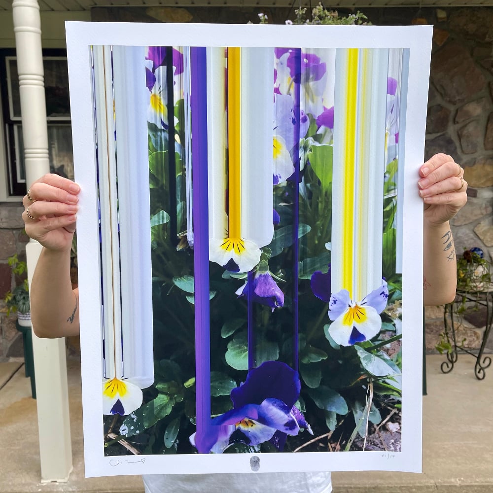 Image of Flowers Against Humanity 007 Limited Edition Giclée Fine Art Print