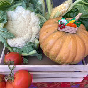 Image of Humble Harvest Brooch {2nd Colourway}