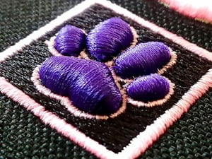 Image of 3D PAWS RANGER EYES