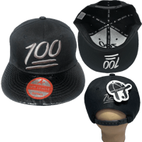 Image 1 of  100 Hat/Custom Hat for Women & Men/Snapback Hat/Embroidered Snapback