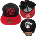  100 Hat/Custom Hat for Women & Men/Snapback Hat/Embroidered Snapback