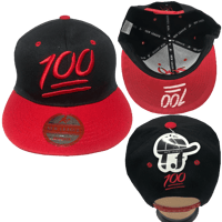Image 2 of  100 Hat/Custom Hat for Women & Men/Snapback Hat/Embroidered Snapback