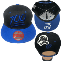 Image 3 of  100 Hat/Custom Hat for Women & Men/Snapback Hat/Embroidered Snapback