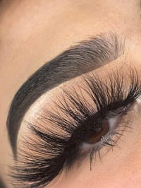 Image 3 of Pretty Little Lash Book 
