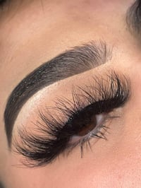 Image 5 of Pretty Little Lash Book 