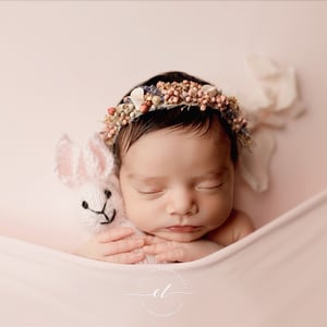 Image of Angora Bunny Lovie - 5 colors