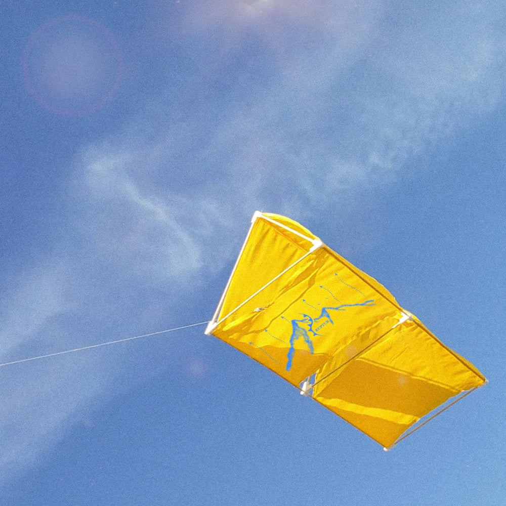 Image of RPT-013: THE MOUNTAIN KITE