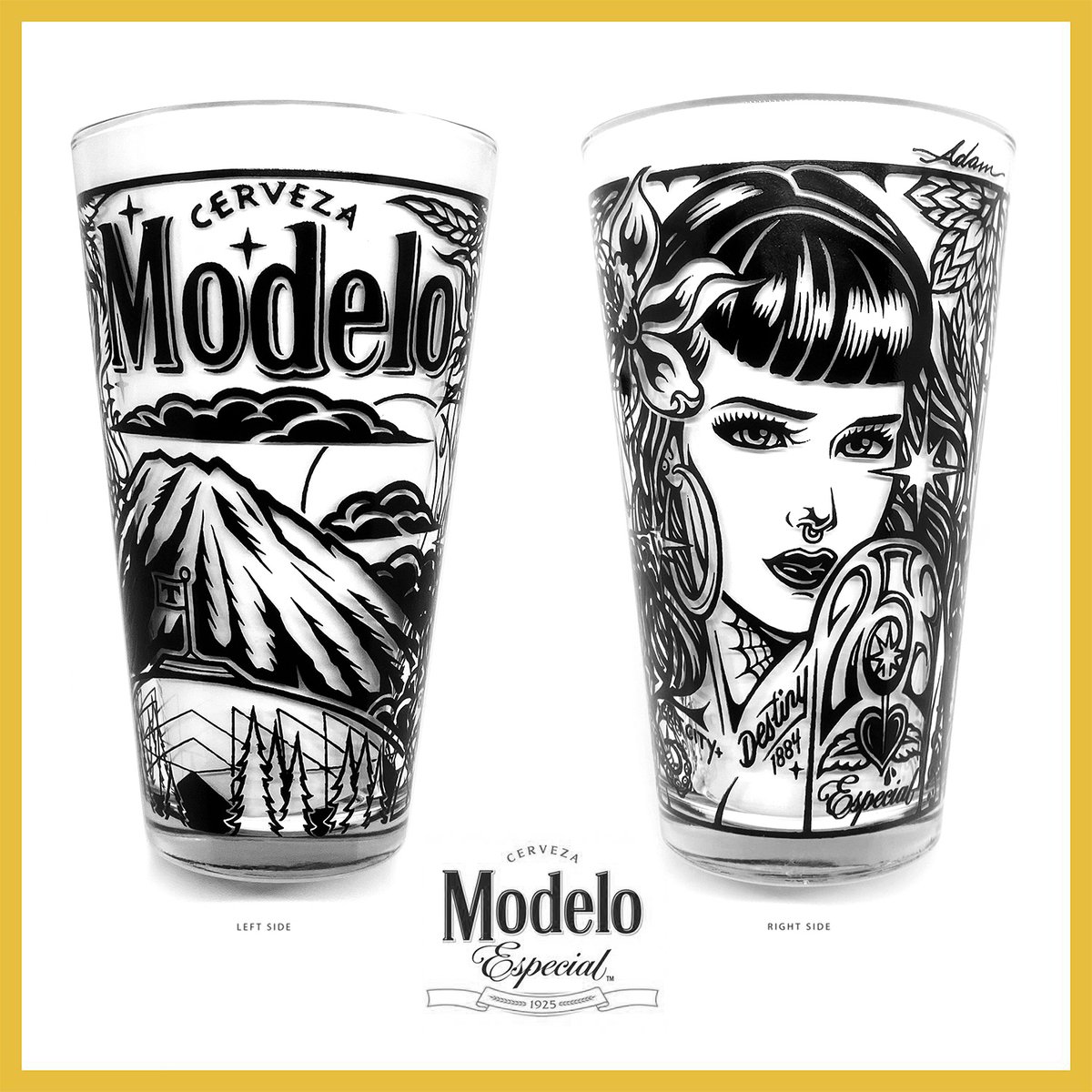 Modelo Especial Lion 16oz Pint Glass