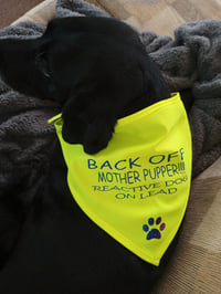 Image 1 of Customised Dog Bandana