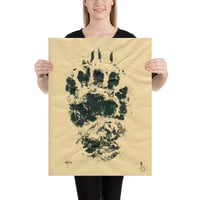 Image 3 of Black Bear Was Here - poster