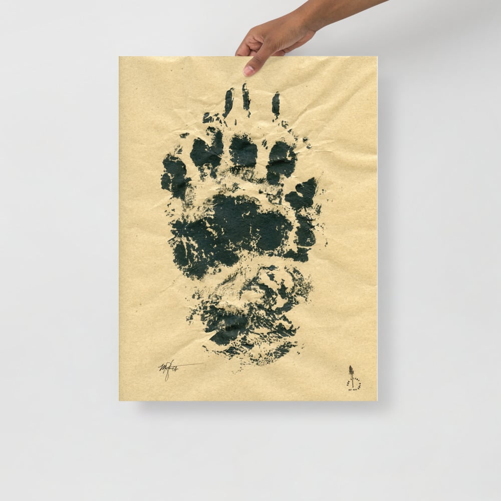 Black Bear Was Here - poster