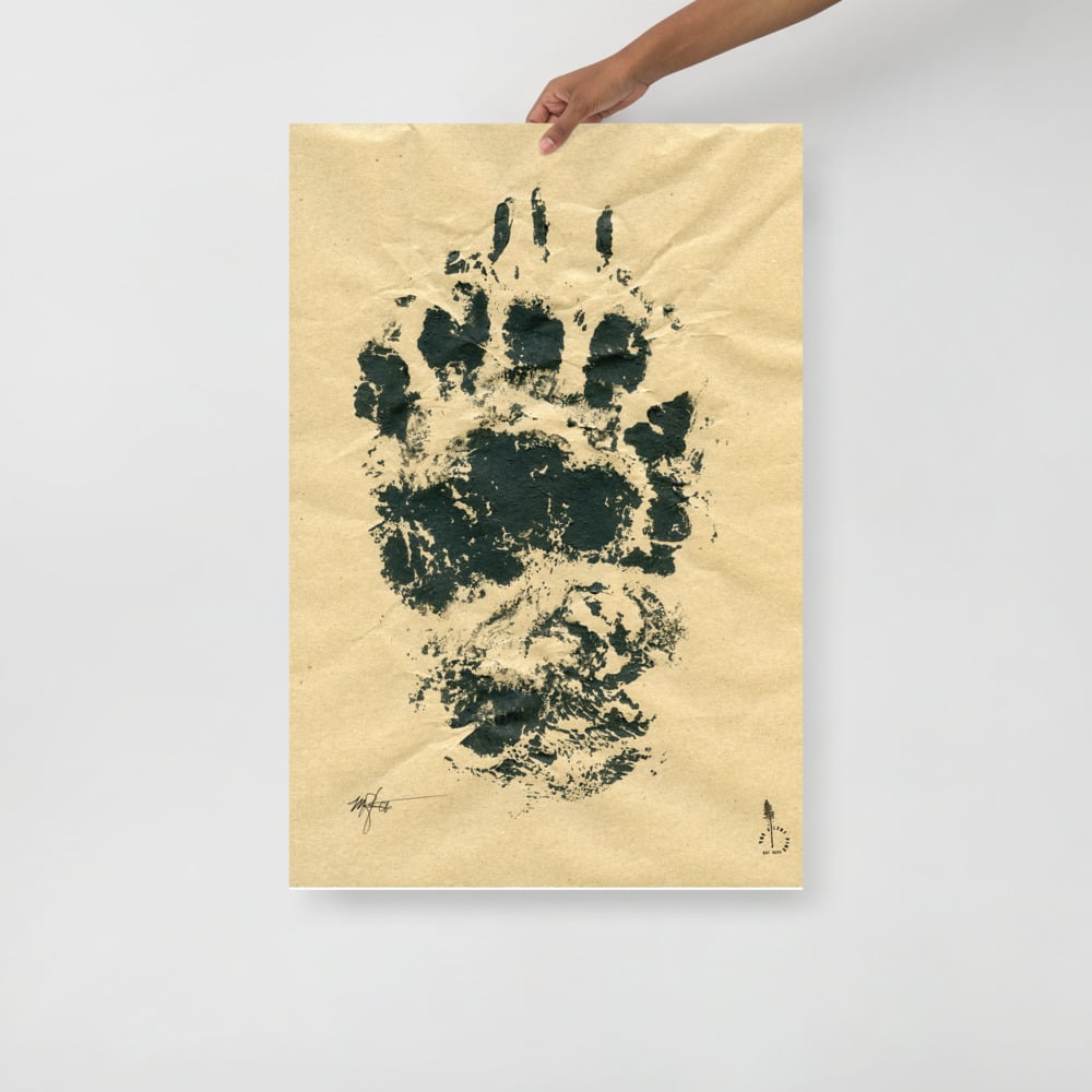 Black Bear Was Here - poster