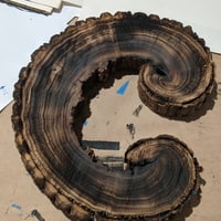 Image 2 of Tree of Life print - black on white